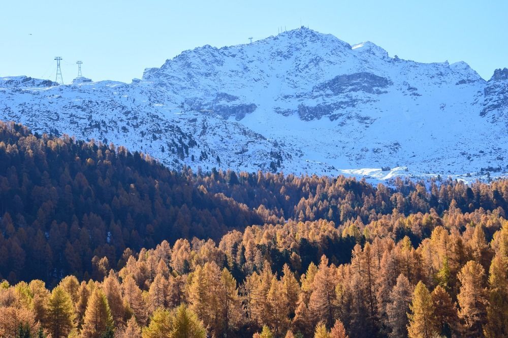 Hotel Salastrains Saint-Moritz Dış mekan fotoğraf